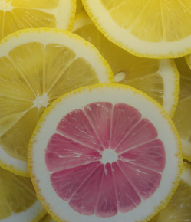 YUJ Designs is different