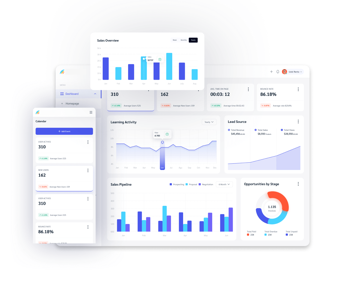 sample report of expert review