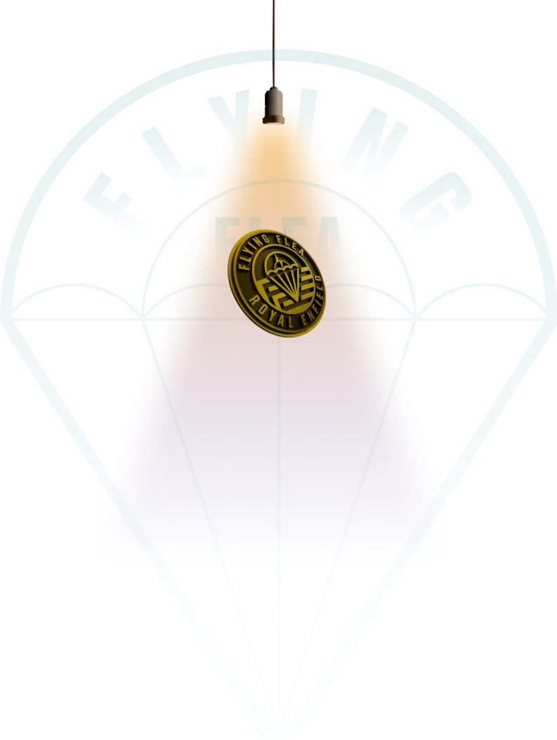 flying medal